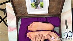 lilly the secretary teases with her feet in the box vol 2