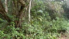 Voyeur Watches Shibari Fetish with Fiery Redheads in Episode 1