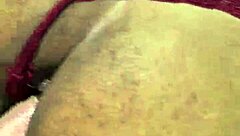 the moray eels have an intensity in the look that captivates me