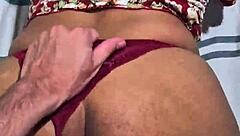 the moray eels have an intensity in the look that captivates me