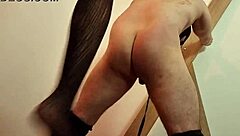 i'm spurious queen... i dominate tall slave brunette feet fetish huge tits he didn't obey so BALLS KICK thank you!!