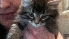 Plump housewife kandy kane gags on cock in homemade deepthroat session craving more