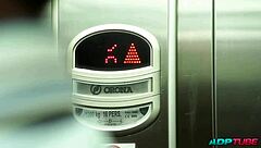 brunette fucks hard in crowded bar right in front of customers