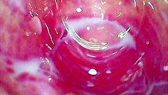 whoa that glass dildo rides deep in her tight juicy pussy ride! 😏🔥