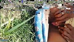 Desi bhabhi fingers pussy in wheat fields then takes rough doggystyle