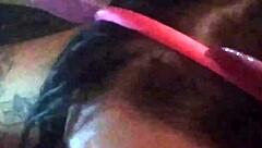 Tranny dives into some irish vibes for saint patty's day fun