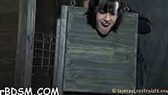 Bound tight, wanna see her suck cock before rough cunt pounding?