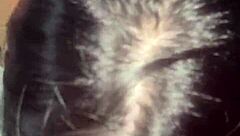 Homemade Trio Sees Buddy's Girlfriend Double Penetrated Gaping Pussy in Stockings