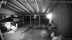 you want this public blowjob deepthroat then hardcore pussy fuck creampie outdoors?