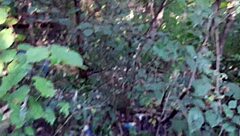 oh wow, us three girlfriends in bikini shorts jeans rub our hairy pussies outdoors till orgasm