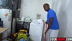 hey cuckold hubby why offer your wife to black workers huge cock?