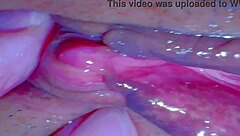 Amateur Shaved Pink Pussy Close-Up 230 Days Post-Virginity Loss Getting Licked.