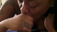 ebony amateur sucks big black cock real good