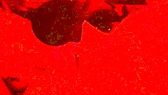 Wife blindfolded gives chubby deepthroat blowjob close-up swallows cum side view