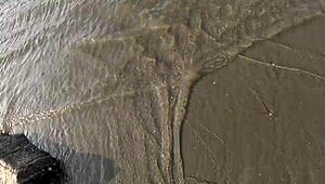 我看着普里西拉和尼科利在公共海滩狂野操