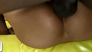 Imagina o corpinho moreninho fofo da Lana Violet de quatro pra boquete interracial bruto e foda