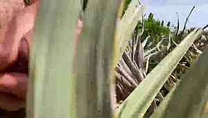 와, 그 미친 클리토리스 핥기 업데이트가 야외에서 지저분하고 알몸이야!