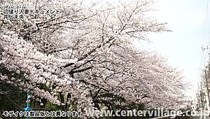 미오 이노우에 결혼녀 첫 촬영 다큐멘터리 볼래?