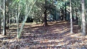 Clitlicker662 zeigt schlampigen Orgasmus im Naturwald Voyeur-Update!