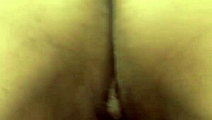 Min polare kollar när jag twerkar och drar av min thong