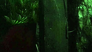 パティ・バンブムが言う、お尻とマンコ欲しい？ ファンに車で全部やる