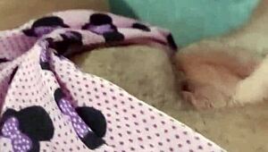 POV сочная латино 18+ дрочит мясистую пизду в шортиках Минни с дикими стонами