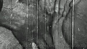 О вау, нырни в винтажный мир, где Dark Lantern показывает интригующие тайны моей секретной жизни!