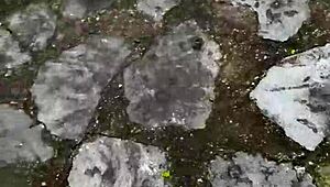 Denne unge 18+ colombianske paret blir kåte og filmer doggystyle sex i offentlig park, men det ender dårlig med romkameraten som oppdager dem