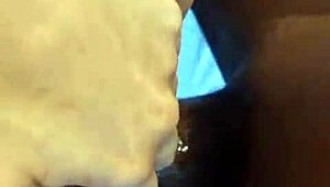 Svart fyr knuller og fister min saftige fitte