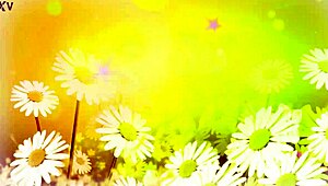 Hans esittelee Shalina Devinen rentossa chatissa