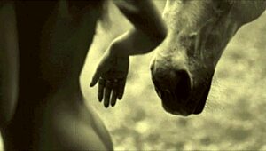 Dark Lantern Entertainment споделя от моята тайна живот с викториански английски джентълмен еротични изповеди