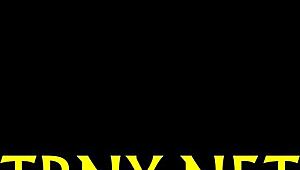 Chic tranny gets thrilled exploring a thick throbbing wang up close