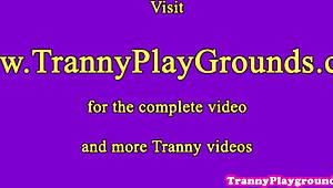 why tan tattooed shemale amateur assfucks in lingerie stockings rimjob?