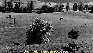 la jetee 1962 chris marker francia subtitulado detailed exploration of time and memory