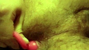 Plugpiqued Adventures Unleashed