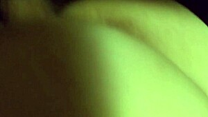 Is this sofa ready for our wild test?