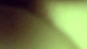 Is this sofa ready for our wild test?