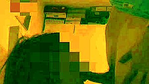 My Redhead Puppy Loves To Suck My Cock