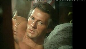 Small boobs, big cock: The perfect brunette for this