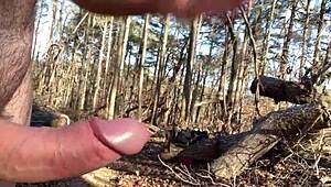 back in the woods after cold weather, enjoying nature's thrill