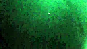 Cd Meena's Big Ass Dick Teases in Stockings