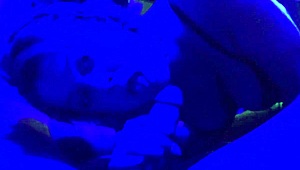 Nova Cane's Deepthroat Special on Blue Light Cock