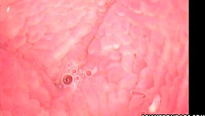 Tied up Asian cutie toyed by camera dildo