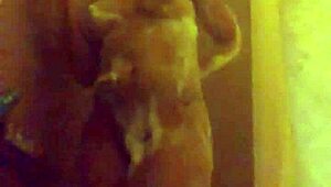 Sluts expose themselves wildly on webcam