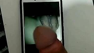 膣
