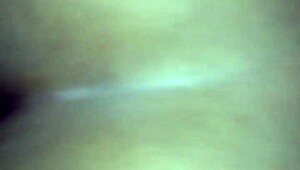 In the casual tale of backseat adventures, friends share buckshots from their road trip