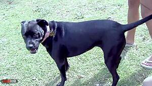 me n joselynn, uh, ryder skye, we lickin pussy and messin with dildos, ya know?