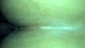 In the casual tale of backseat adventures, friends share buckshots from their road trip