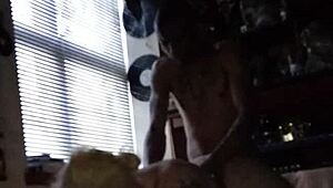 Demon panthers mating season