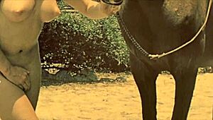 i love how dark lantern entertainment presents beauty and the beast in that retro vintage style